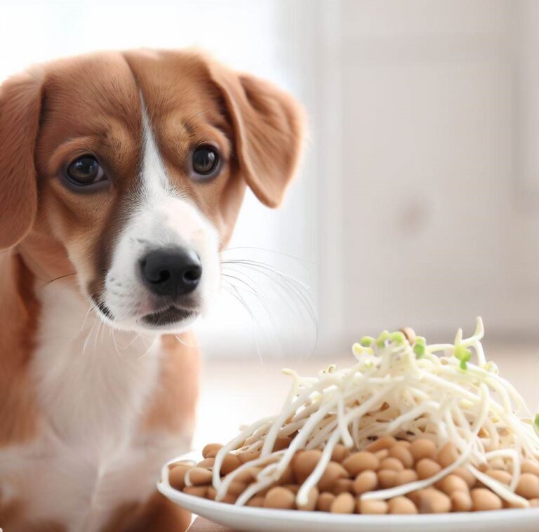Can Dogs Eat Bean Sprouts: 2023  Comprehensive Guide