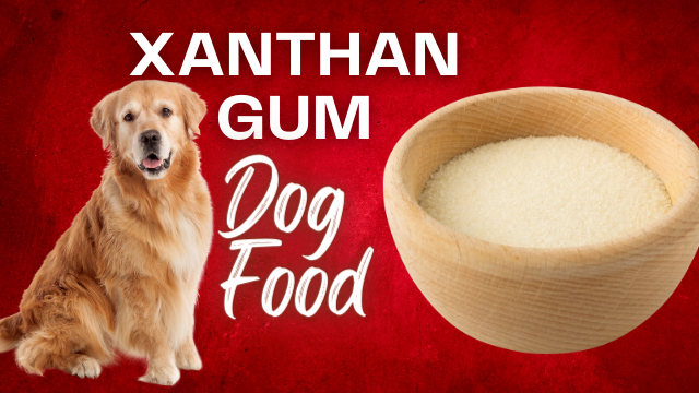 Xanthan Gum for Dogs : Important Safety Information