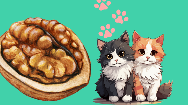 Can Cats Eat Walnuts? Unraveling the Feline Nut Conundrum