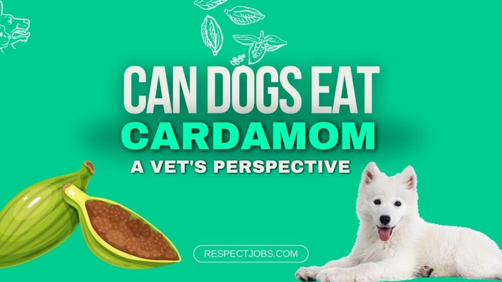 Can Dogs Eat Cardamom A Vet's Perspective