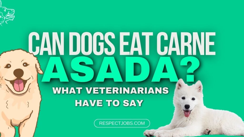 Can Dogs Eat Carne Asada What Veterinarians Have to Say