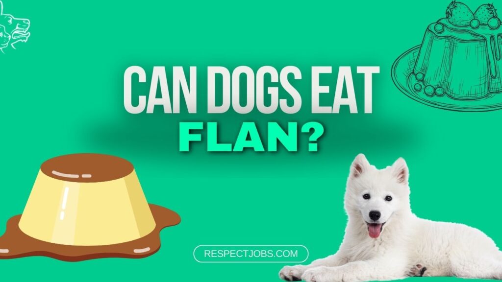 Can Dogs Eat Flan A Vet's Perspective