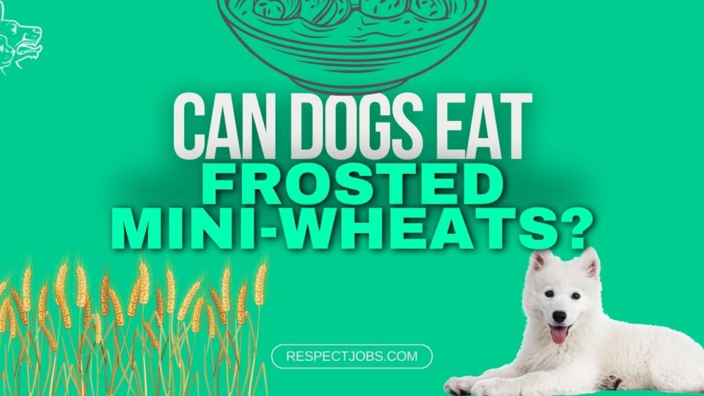 Can Dogs Eat Frosted Mini-Wheats Expert Advice Inside