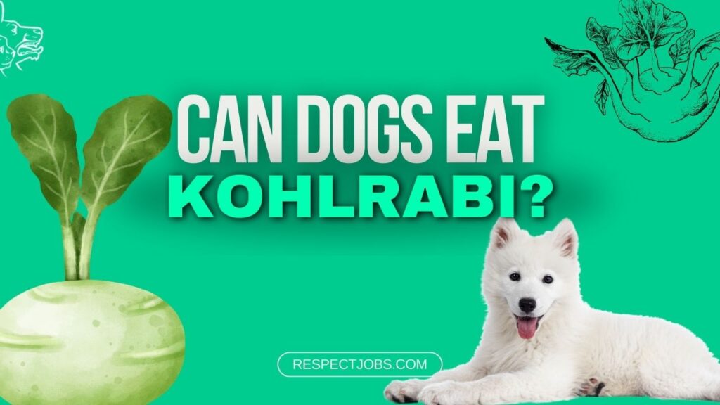 Can Dogs Eat Kohlrabi Exploring the Benefits and Risks