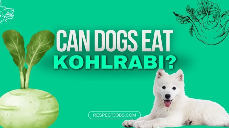 Can Dogs Eat Kohlrabi? Exploring the Benefits and Risks