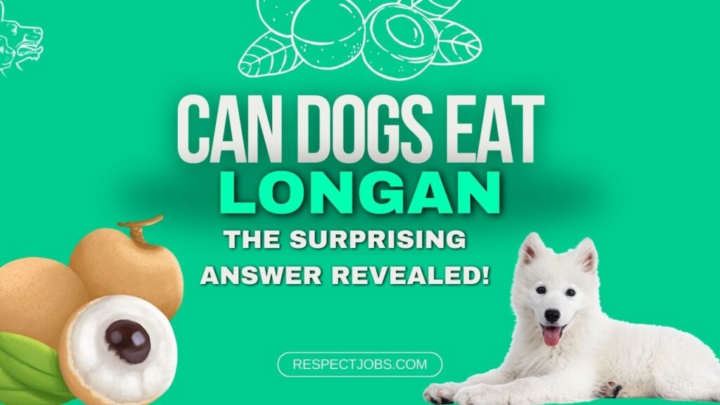 Can Dogs Eat Longan The Surprising Answer Revealed!