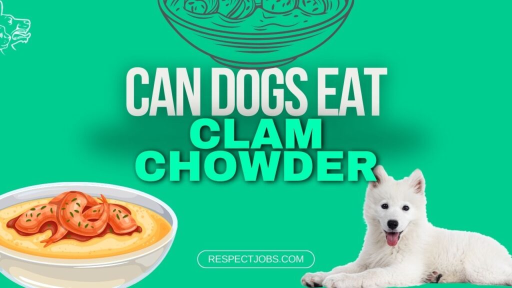 Can My Dog Eat Clam Chowder A Vet's Perspective on Whether It's Safe